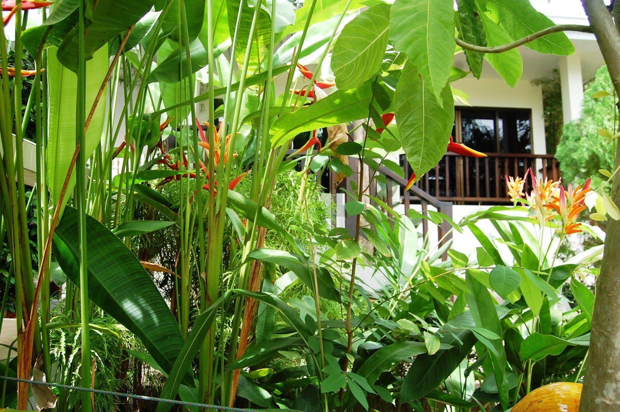 Station touristique Baan Sawan Samui