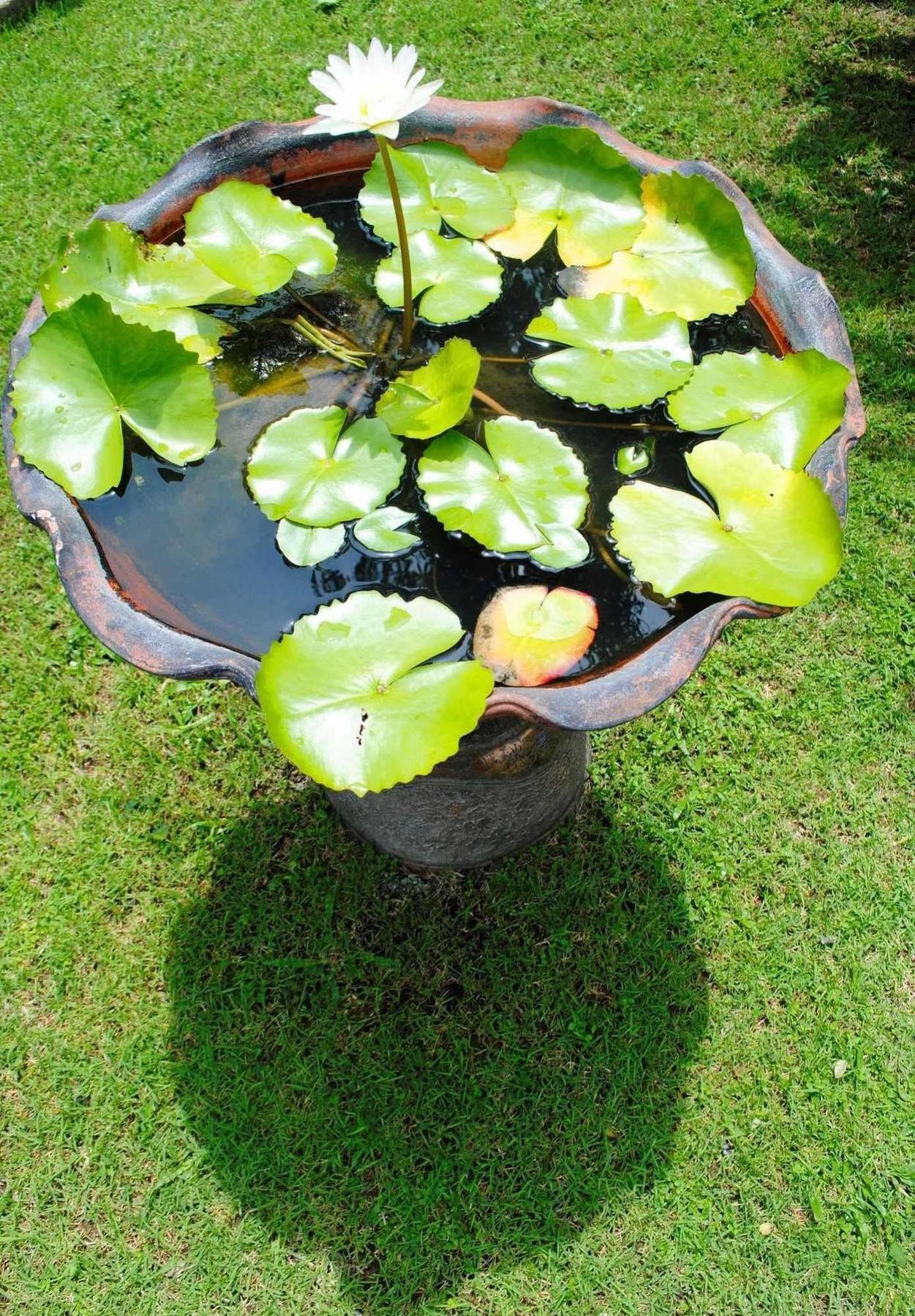 Baan Sawan Samui 4* Chaweng